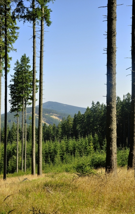 Bišovka z Kutného vrchu  866m.n.m.